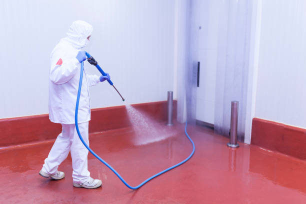 Best Building Exterior Washing  in Cornelia, GA