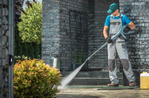 Best Animal Enclosure Cleaning  in Cornelia, GA